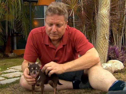 world's smallest dog milly